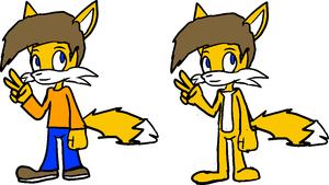 Rob the Fox aka my SANIC fancharacter by Rob3k
