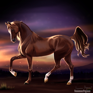 Drawing Horses From My Imagination (Part 2) by VenomousPegasus