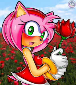 Amy Rose by SirJzau