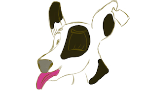 Veal Good by Stagile