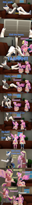Mini-Flurry Part 2: Big Skyla by PapaDragon69