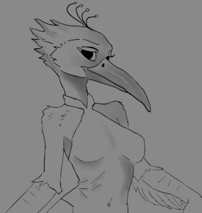 Ava, Foreign Imports and Exchange by Bitterant