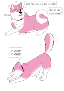 Even more a Pupper by Maxicoon