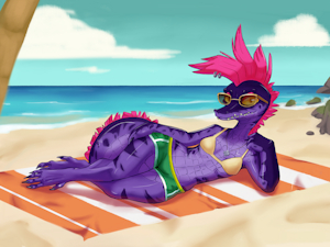 Sally on the beach by FuzzyOpossum
