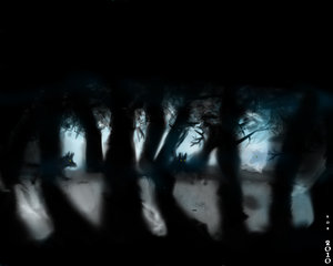 "Those that Walk By night...." by Irvnation