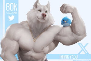 80k X followers by Anhes