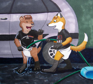 Washing The Car...In Theory... by Christaphorac