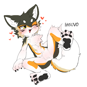 commission funzinnu fanu by HANUVO