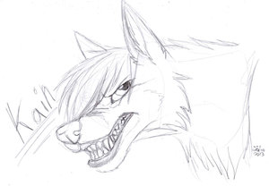 Dont Fuck With Kain!! >:3 by Kainus666