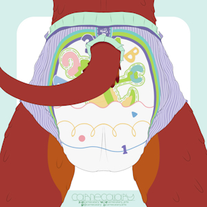Rhett's Diaper, A Progression by InfraRaptor