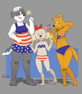 4th of July Commission by nanuna