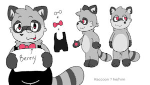 Raccoon Boy Ref! by BuiBuinnet