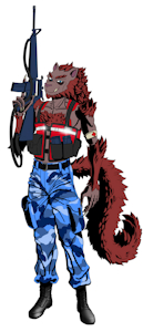 Army Brigade Surgeon Garrett by Bull