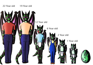 Xyvander's AR/age progression sheet by Iakhot