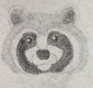 Cutie Raccoon by Wullabi