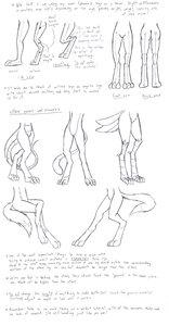 Anthro Leg Tutorial by Violyte
