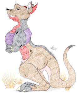 Wallaroo by FurryPervert