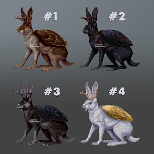 Wolpertinger Adopts - Auction (4/4 Open) by nubilum93