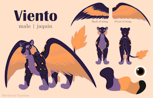 Viento ref sheet by Tayarinne
