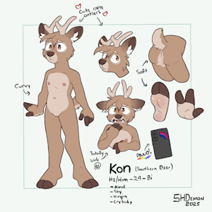 Kon ref (sfw) by SHDemon