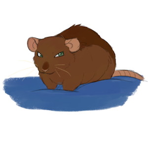 Angry Rat by claviarm