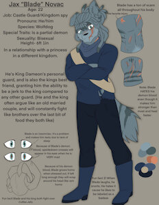 Character Redesign by TailsicaTFox