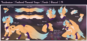 Thunderstorm Reference Sheet 2025 by Anfani