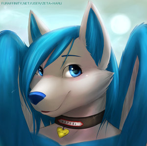 Raffle Winner by ZetaHaru