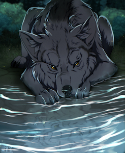 Observation by Shyryp