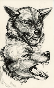 Wolves in Ink by zaverose