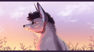 Field [P] by PatreHILLsaint