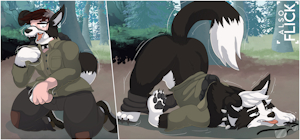 Border Collared (Dog Transformation) by AlsoFlick