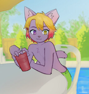 a summer coda by strayrozerem