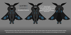 Lunarian Species Ref by ZacroTheNeovoral