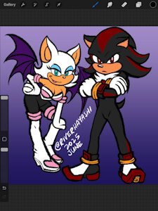 Rouge and Shadow by riverhayashi