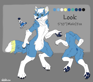 Ref Sheet by LookFox