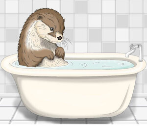 Otter Bath by Maria by dfeyder