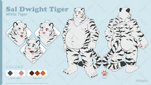 Sal Dwight Tiger Reference Sheet by LittleHyper