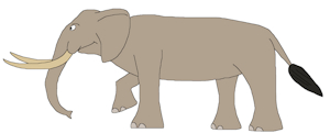 African Forest Elephant by ChrisTheWhaleKing
