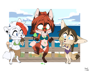 VixenLogic0110.5 - Boardwalk by foxboy83