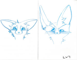 Long the Fennec by LongVongDau