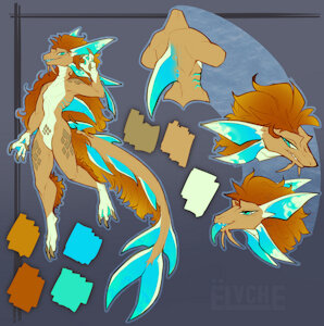 Mizu+Shark ref by Elvche