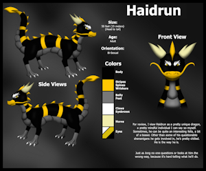 Haidrun's Reference Sheet (Clean) by Dragon122