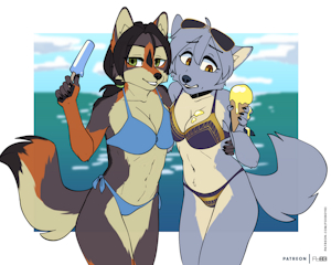 DangerCoyote01 by foxboy83