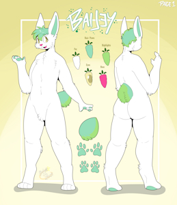 Bailey Bnuoy Reference Sheet by Baileythebnuoy