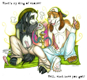 New Submission by Theleaphound