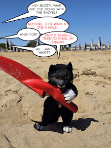 No one messes with Little Balto by Balto