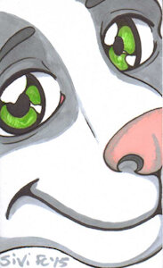 Boxice eyes by Boxice