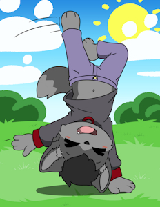 Cartwheel! by KotaPup