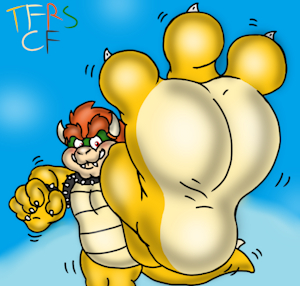 Bowser Stomp Pov by TheRedSkunk